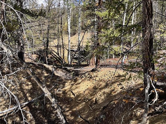 000 County Road 396, Granite, CO 81228 | MLS #3282776 | Zillow
