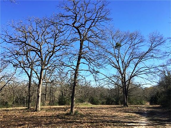 4th image of 2807 County Road 303