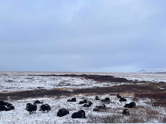 3rd image of L2 Pioneer Rd