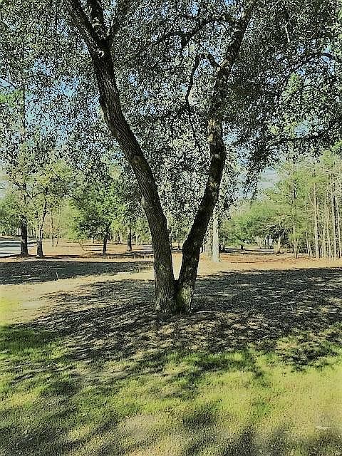 1st image of Lot 6&8 SW Wild Oaks Lane
