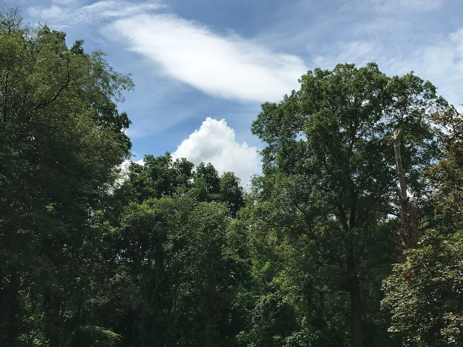 119 Winthrop St, Medway, MA 02053 Zillow