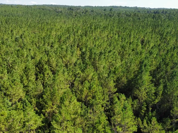 0 Vernal River Rd, Lucedale, MS 39452