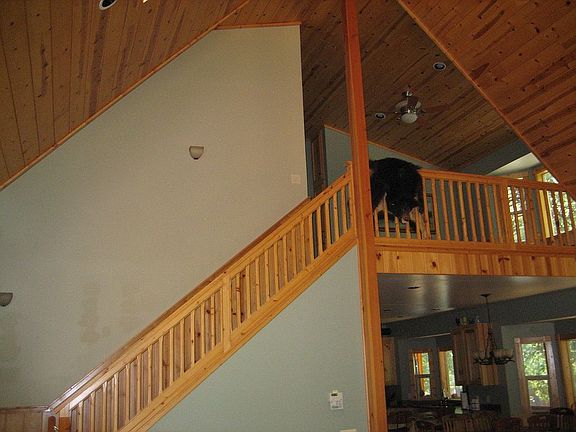 3rd image of 403 Pomo Cir