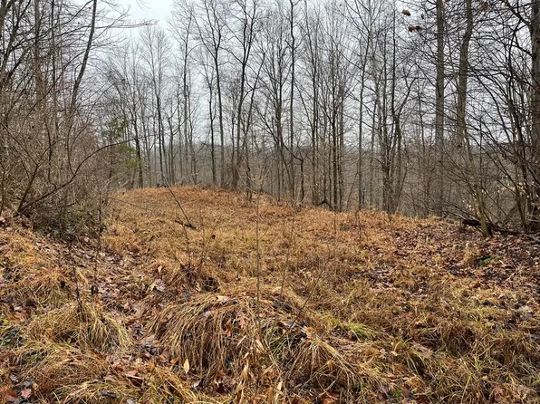 RT 64 Braden Hill Rd., Alma, WV 26320