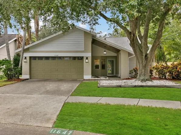 11647 Fox Creek Dr, Tampa, FL 33635