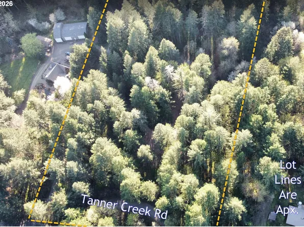 SW Tanner Creek Rd, Gaston, OR 97119
