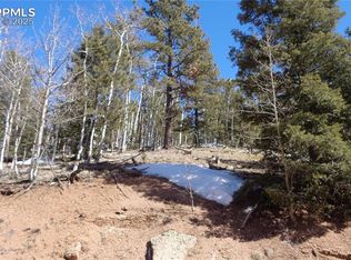 847 Little Topsey Dr, Cripple Creek, CO 80813