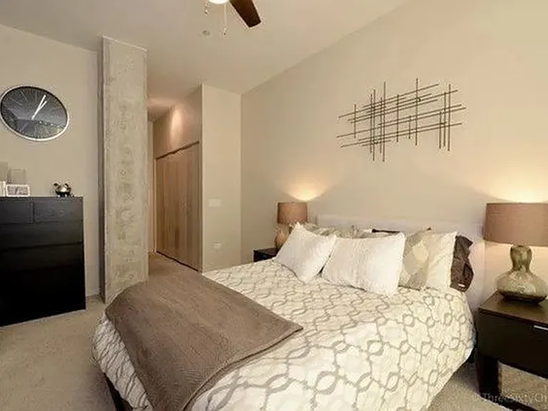 700 N Larrabee St #2013 — Photo 9