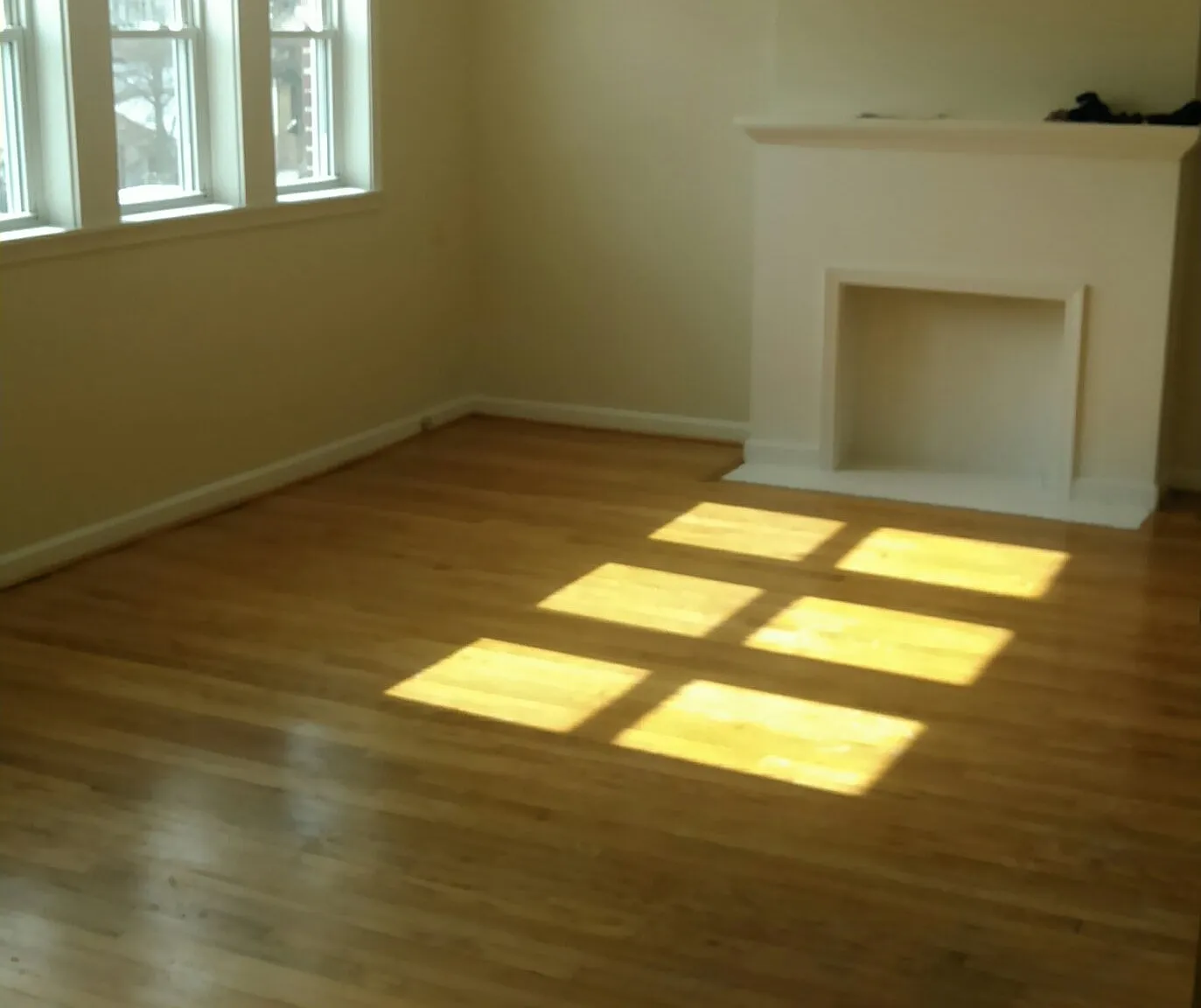 1 bed, $1,025 — Photo 2