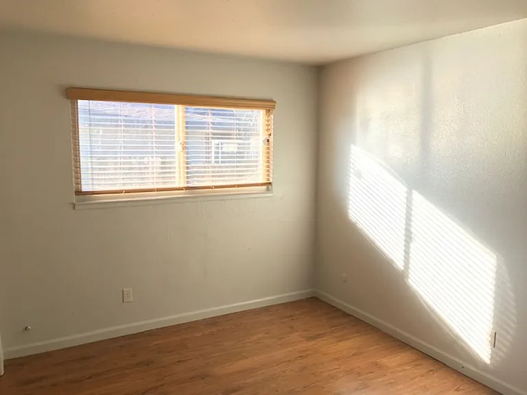 10087 Nebula Way — Photo 5