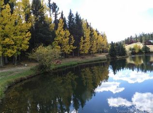 224 Pinewood Cir, Divide, CO 80814