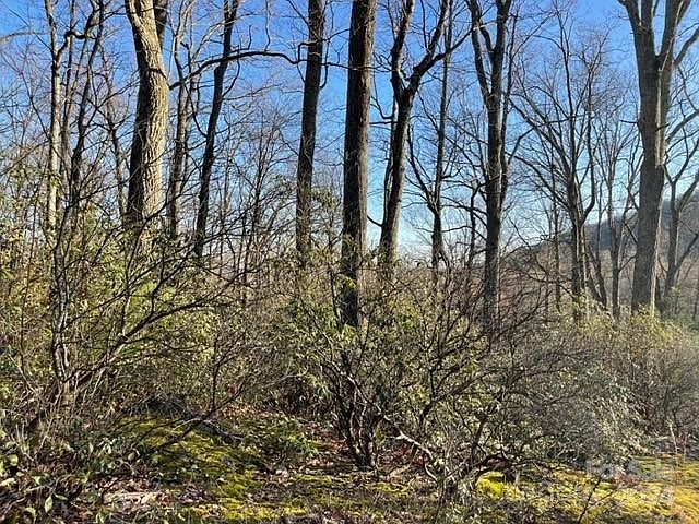 2nd image of 0 E Poplar Dr #27