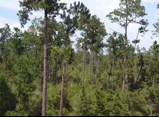 Black Hills St, Alford, FL 32420