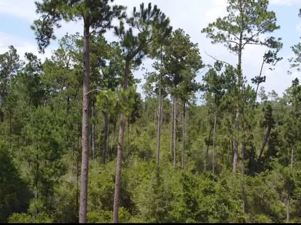 Black Hills St, Alford, FL 32420