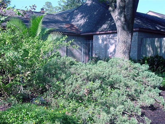 Exterior Landscaping