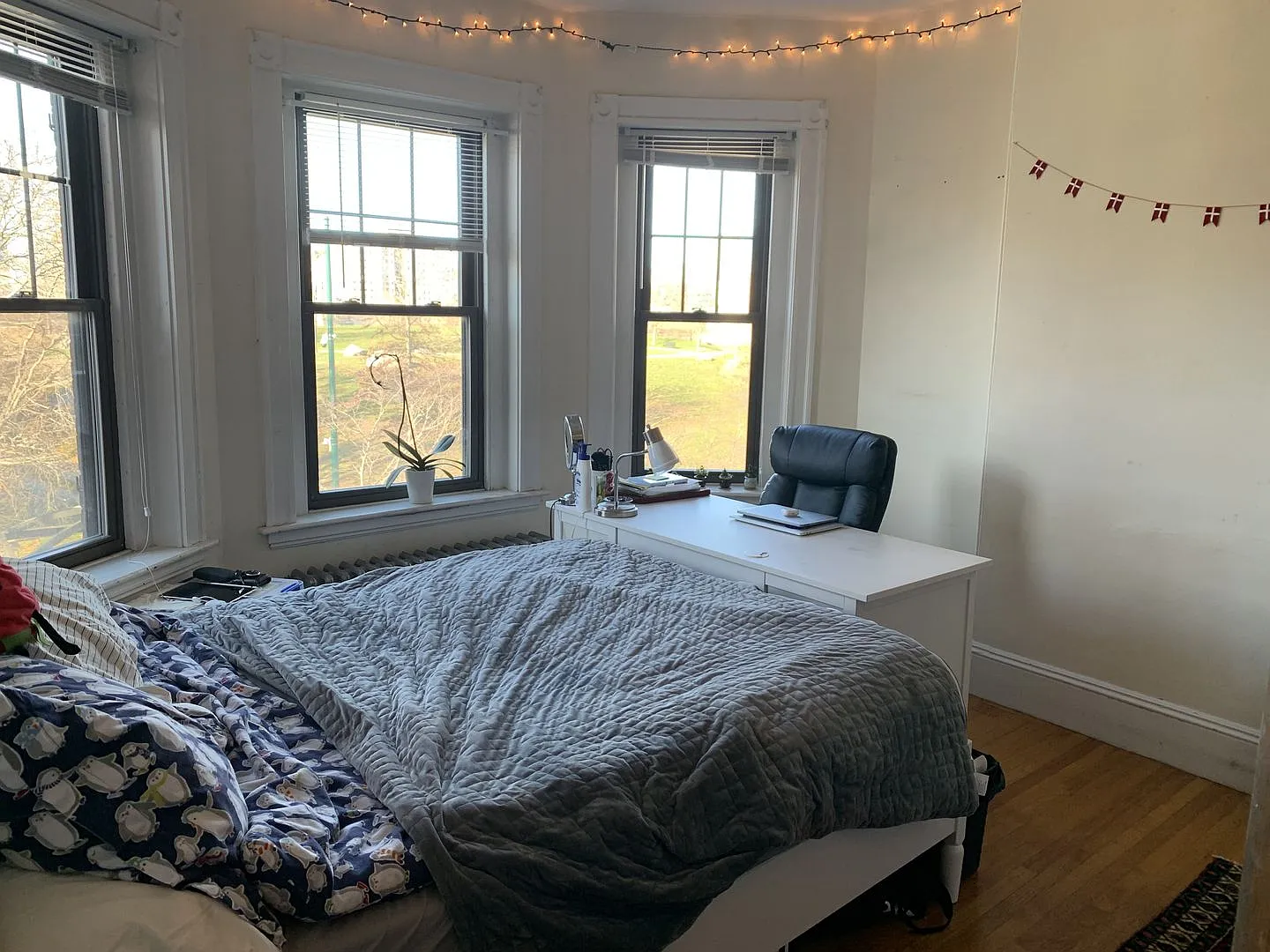164 Saint Alphonsus St #3C Boston MA 02120 — Photo 1
