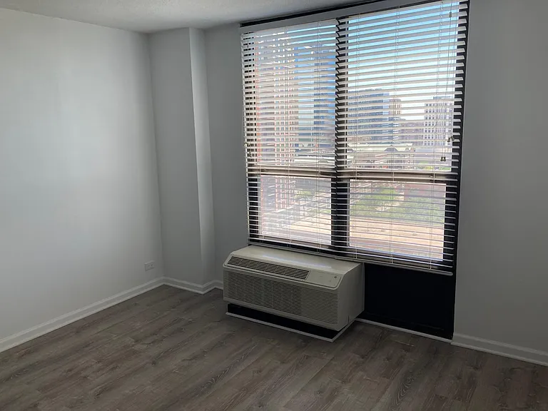 901 S Plymouth Ct #1301 — Photo 12