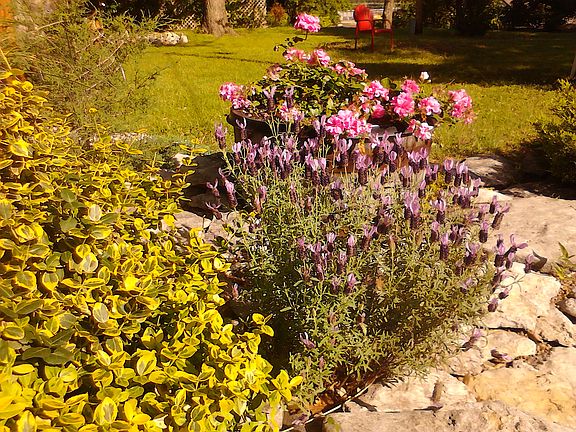 4th image of 24344 S Beulah Cv