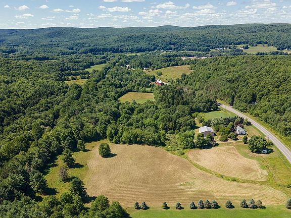 7061 County Highway 10, East Meredith, NY 13757 | MLS #136130 | Zillow