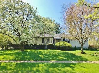 8 Plymouth St, Medina, OH 44256