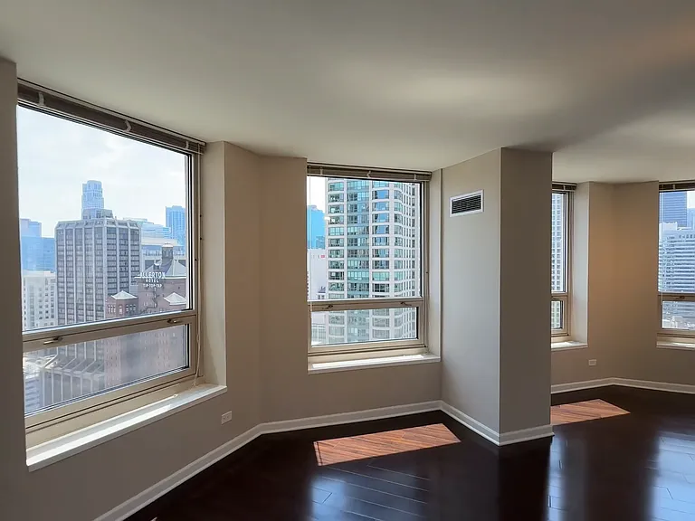 745 N Rush St #3203 — Photo 11