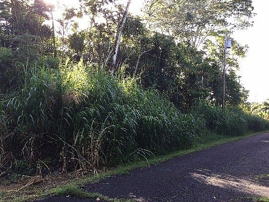 1st image of N Ono St