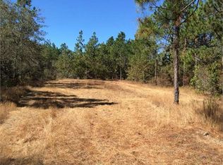 540 Gunter Pond Rd, Wagener, SC 29164