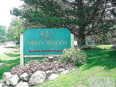 Misty Woods