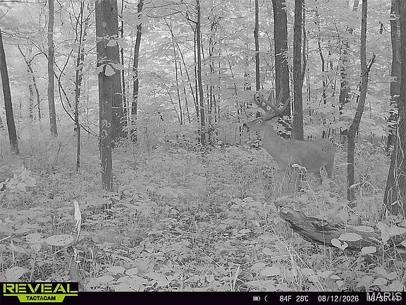 3rd image of 10410 New Athens Darmstadt Rd