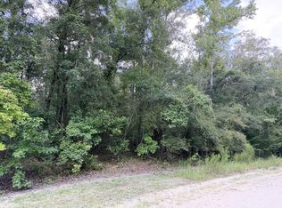 0 NE 756th St, Old Town, FL 32680