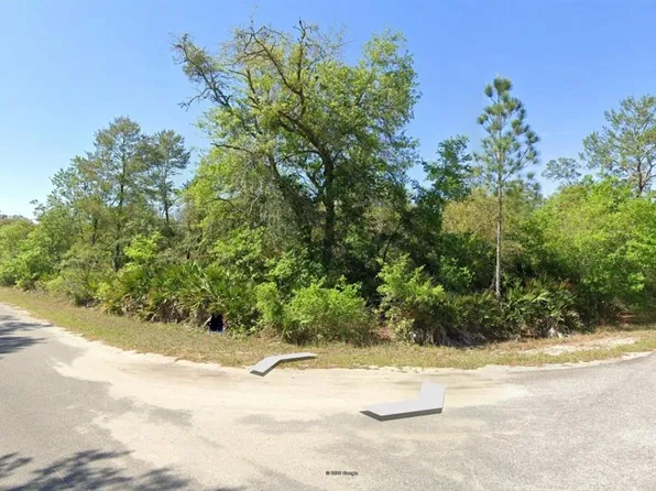 43 Sequoia Trl Lot 11, Ocklawaha, FL 32179