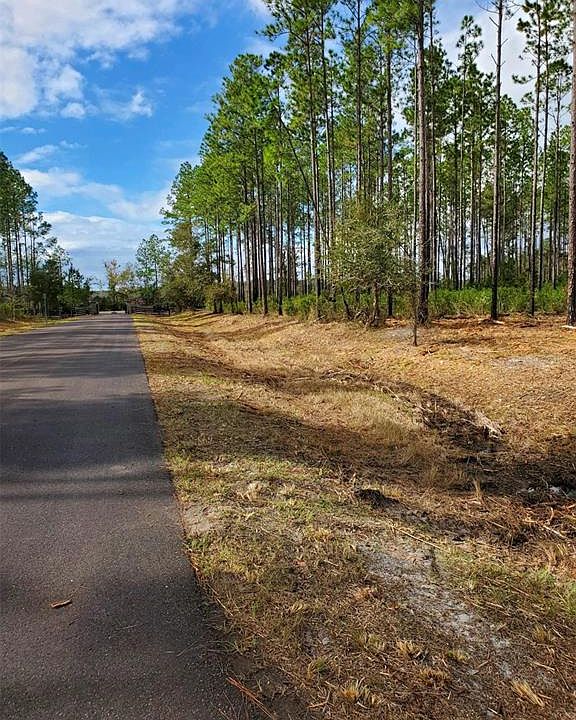 County Road 1469, Earleton, FL 32631 MLS T3383593 Zillow
