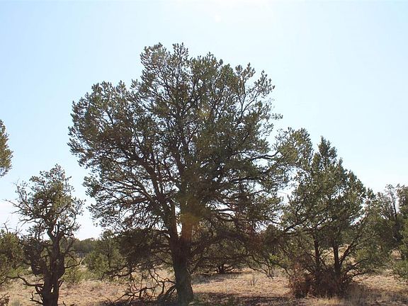 5th image of 13 Johnston Drive #GG Ranch