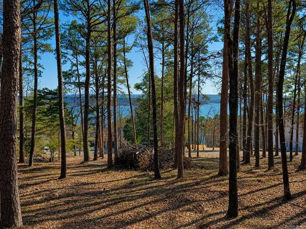 R4 Lakewood Dr, Edgemont, AR 72044