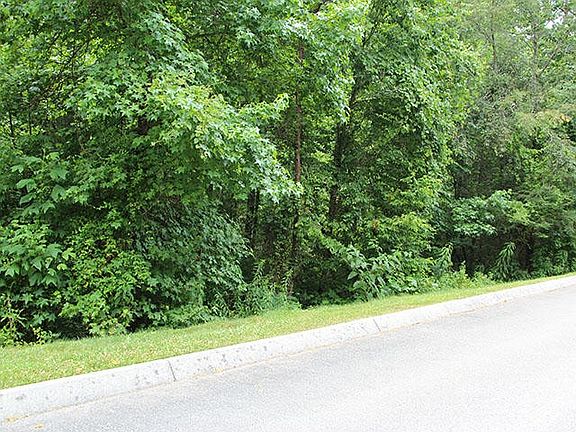 2nd image of LOT 83 Smoky Cove Rd Lot 83