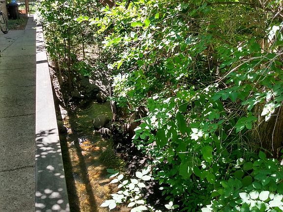 3rd image of 363 Sweetwater St