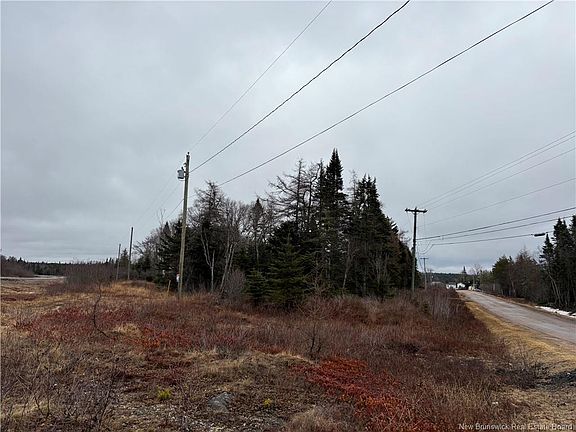 4th image of Mink Brook Rd