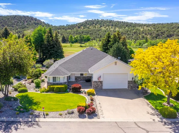 1545 SE Stonebridge Dr, Cedaredge, CO 81413