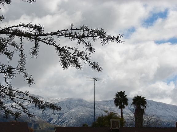 Winter morning view