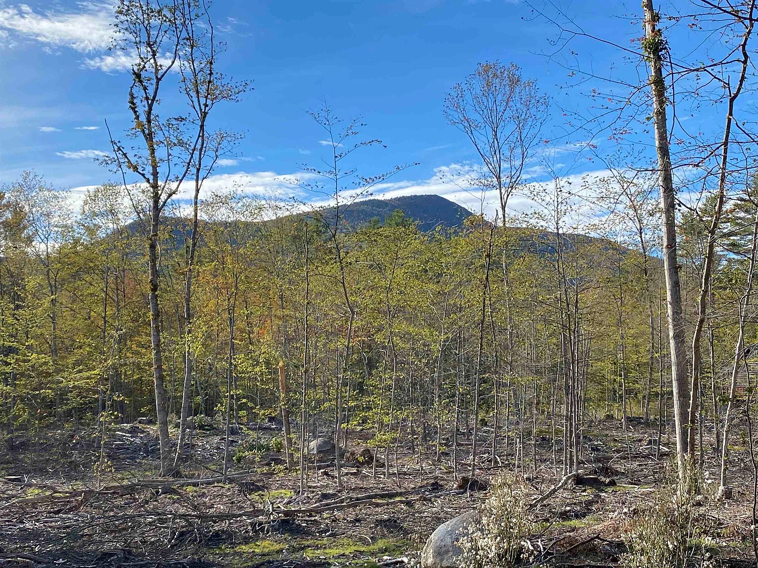 240 High Street, Albany, NH 03818 Zillow