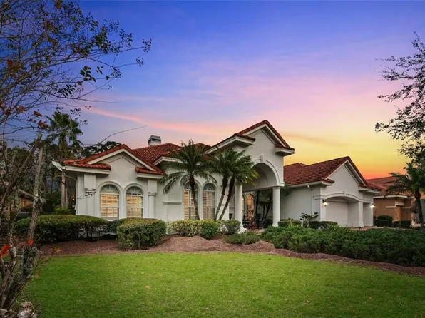 10003 TREE TOPS LAKE ROAD, TAMPA, FL 33626