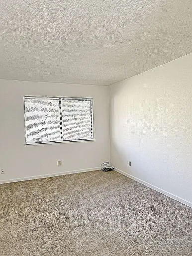 Myrtle Oaks Apartments — Photo 23