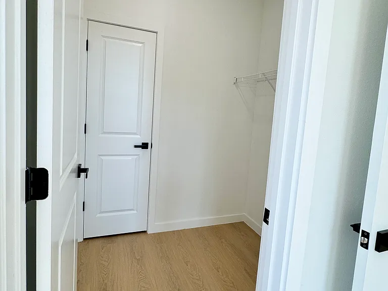 Spacious walk-in closet.