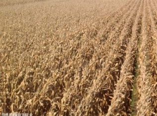 E Binkley Rd, Stockton, IL 61085