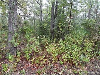 5th image of 0 Buck Mountain Rd