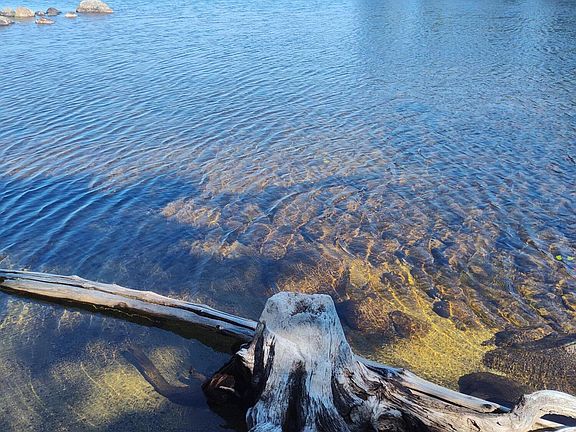 5th image of 403 Turkey Tail Road