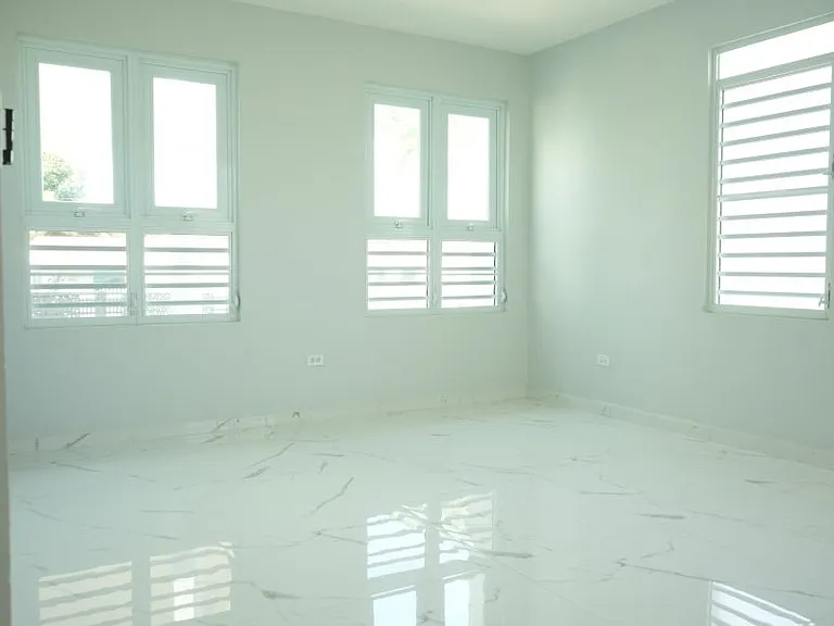 Bo Cotto Calle Apolonio Velez PR 113 — Photo 12