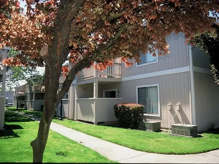 Riverbank Apartments — Photo 11