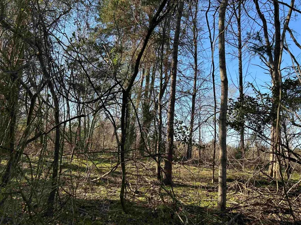 Tbd Cr 3324, Pittsburg, TX 75686