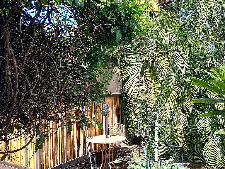 Kaikea St — Photo 8